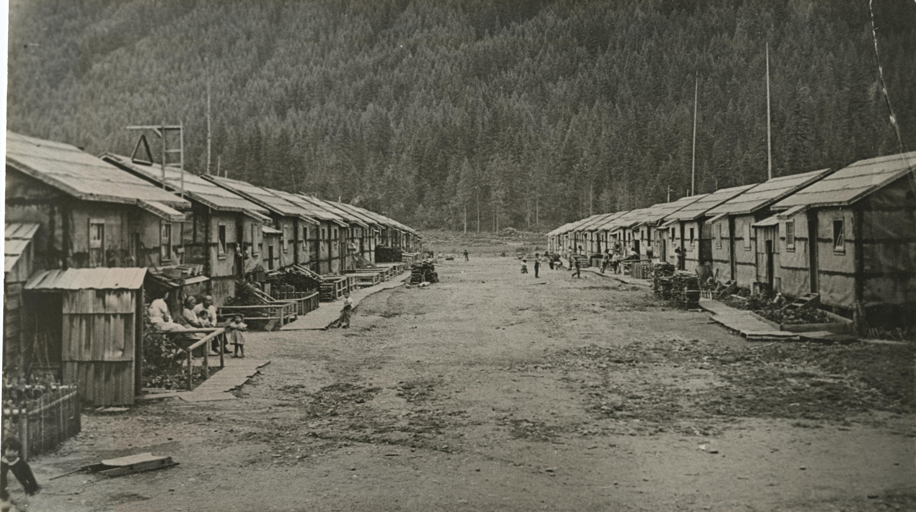 japanese internment camps canada essay